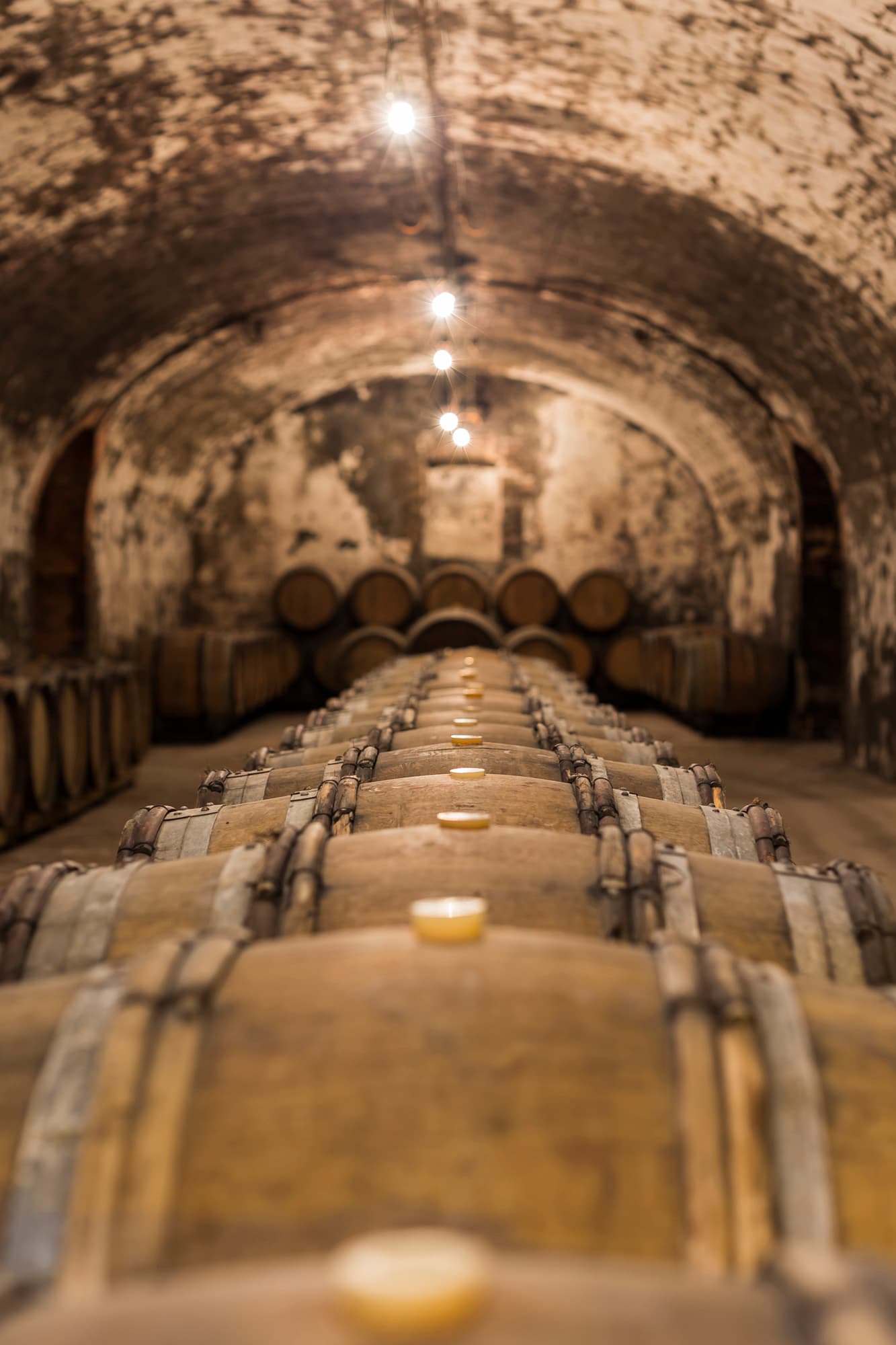 Cellars45