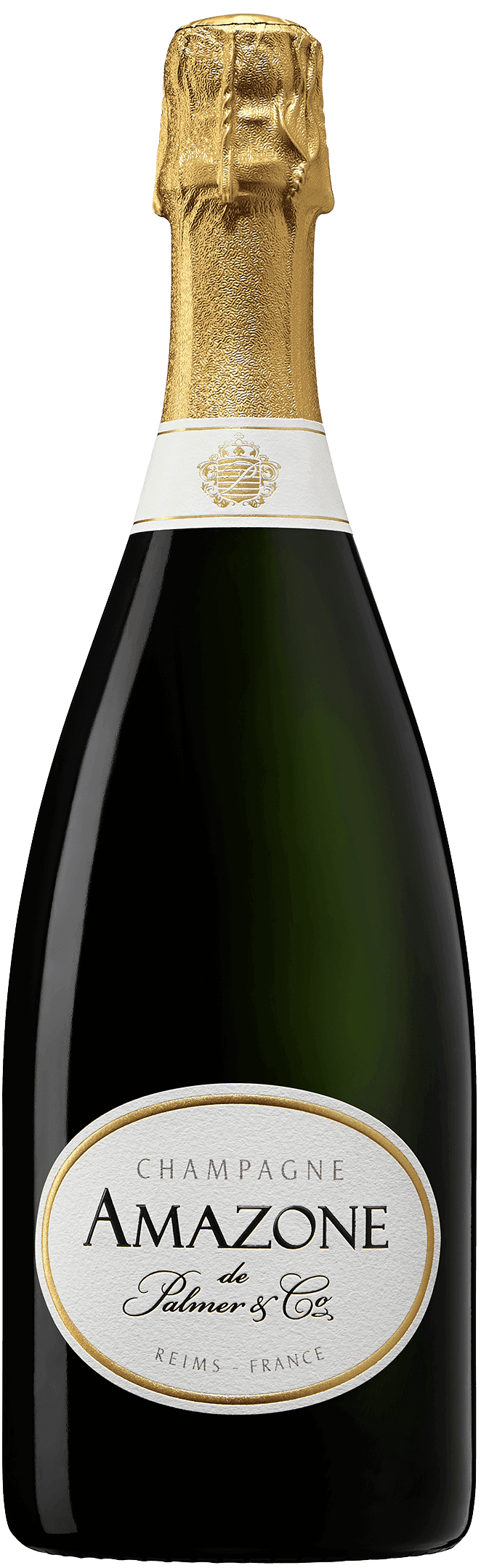 Amazone2