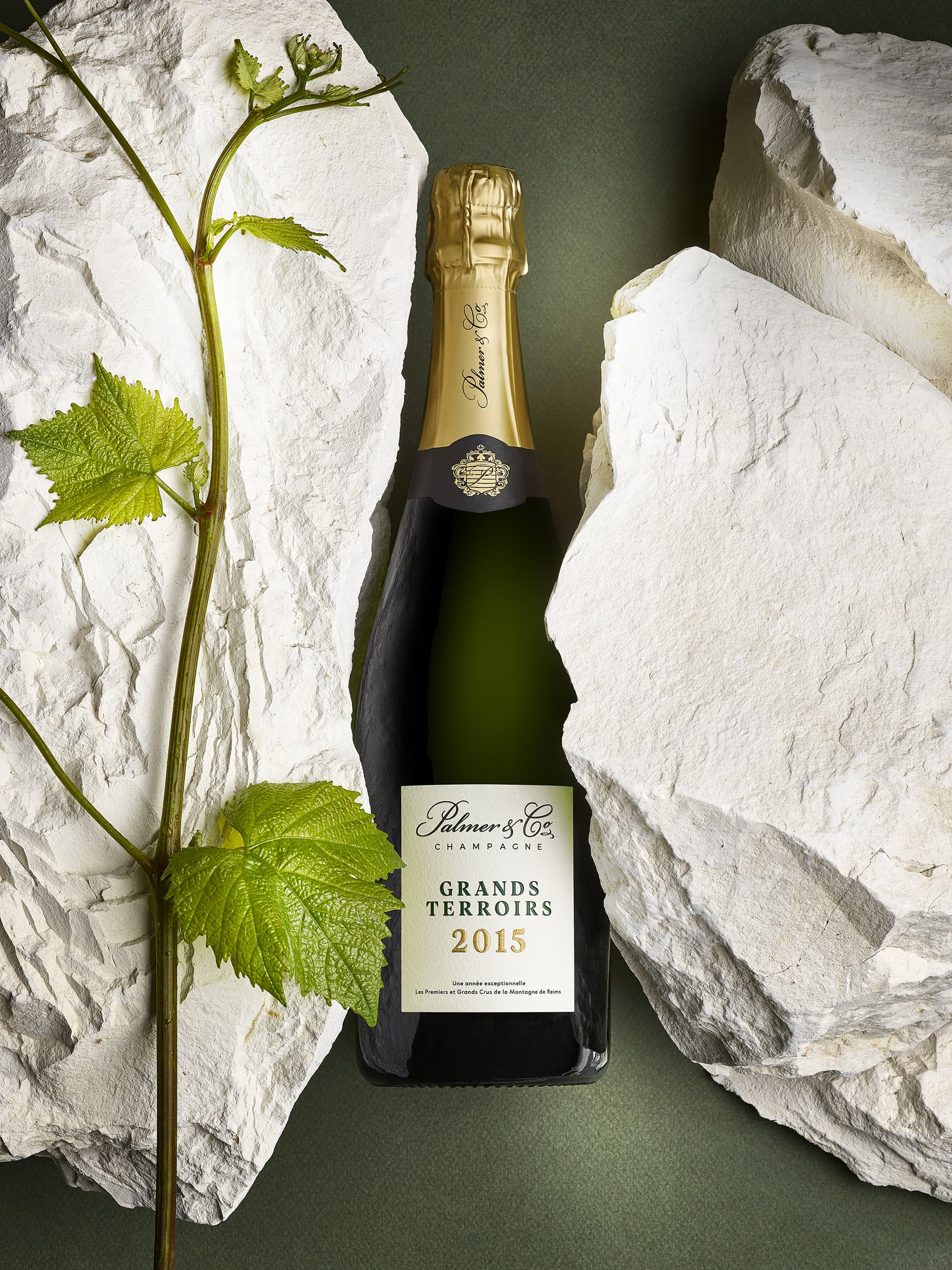 GRANDS TERROIRS 2015_