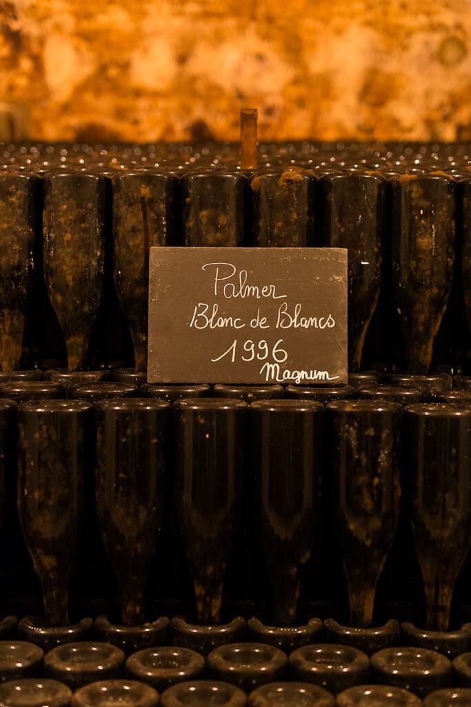 Palmer-selection-420_1